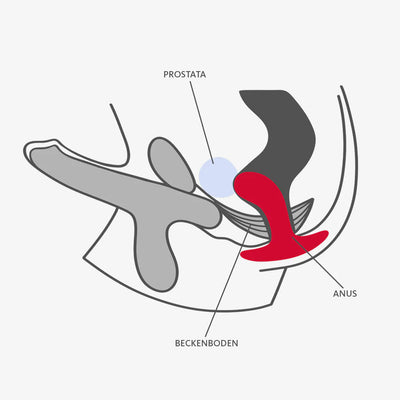 FUN FACTORY - BOOTIE BUTT PLUG M